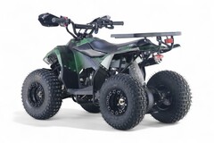 Детский бензиновый квадроцикл RiverToys LEON с электростартером