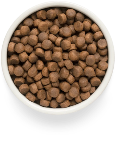 PREMIER Свежее мясо ягненка с индейкой для взрослых кошек крупных пород