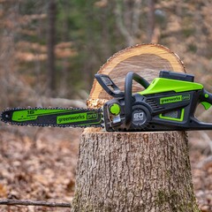 Цепная пила Greenworks GD60CS25 60V (40 см) аккумуляторная, без АКБ и ЗУ