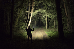 Налобный фонарь Armytek Elf C2 Max USB-C (белый свет) F10701C