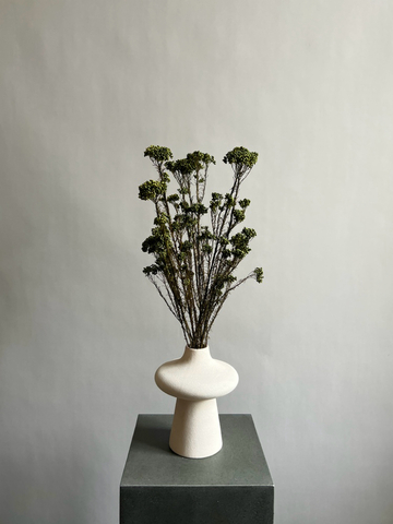 Озотамнус стабилизированный зеленый