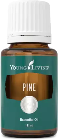 Young Living. Сосна (Pine) – 15 ml