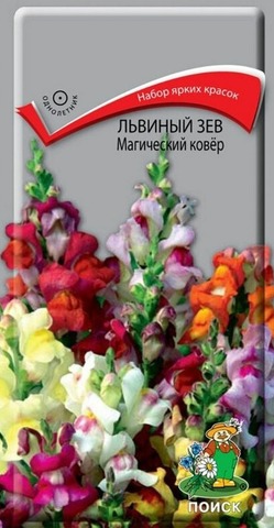 Семена Львиный Зев Магический ковер