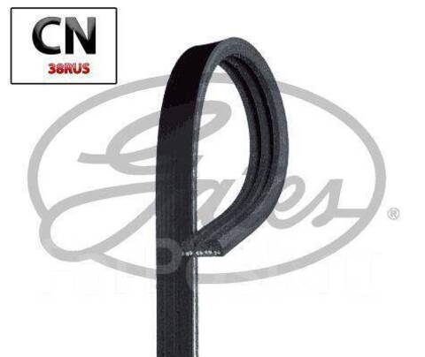 Ремень ручейковый GATES   3 PK  763