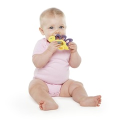 Bright Starts Прорезыватель для зубок 