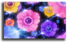 Постер "Блики цветов"