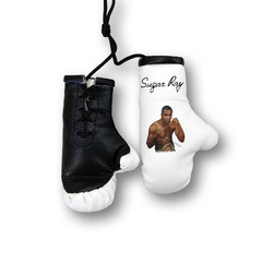 Перчатки боксерские комбинированные "Шугар Рей Леонард", белые с черным