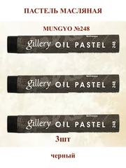 Пастель масляная мягкая профессиональная MUNGYO Gallery Чёрный №248 (3шт)
