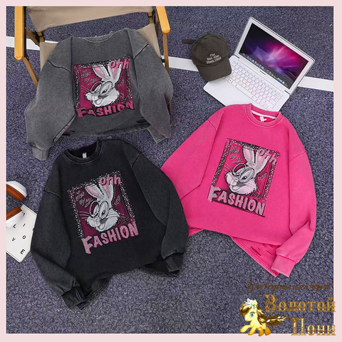 Свитшот подрост д (10-15) 260112-W397