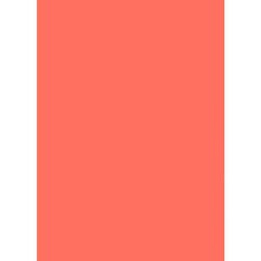 
          Бумага цветная для офиса А4, 20л., Неон "Коралловый", Alingar, 70г/м2, пленка т/у