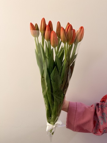 Тюльпаны оранжевые букет 15 штук