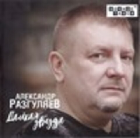 Александр Разгуляев - 2010 - 2019