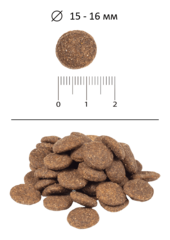 Blitz Adult сухой корм для взрослых собак (ягненок с рисом) 2 кг