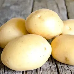 Семенной Картофель Лидер, Э, (2 кг)