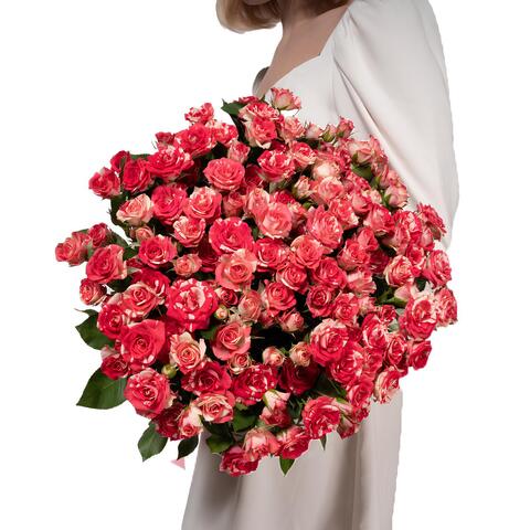 Букет 25 красно-белых кустовых роз