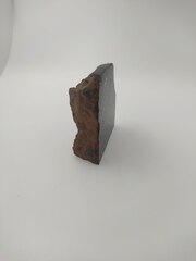 Метеорит Царев