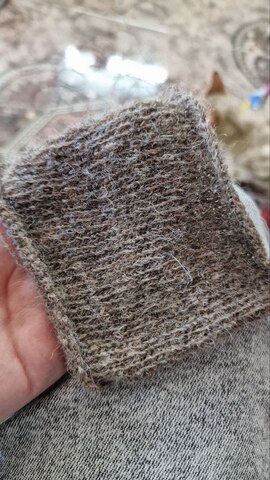 Bolivar - Дориан Грей