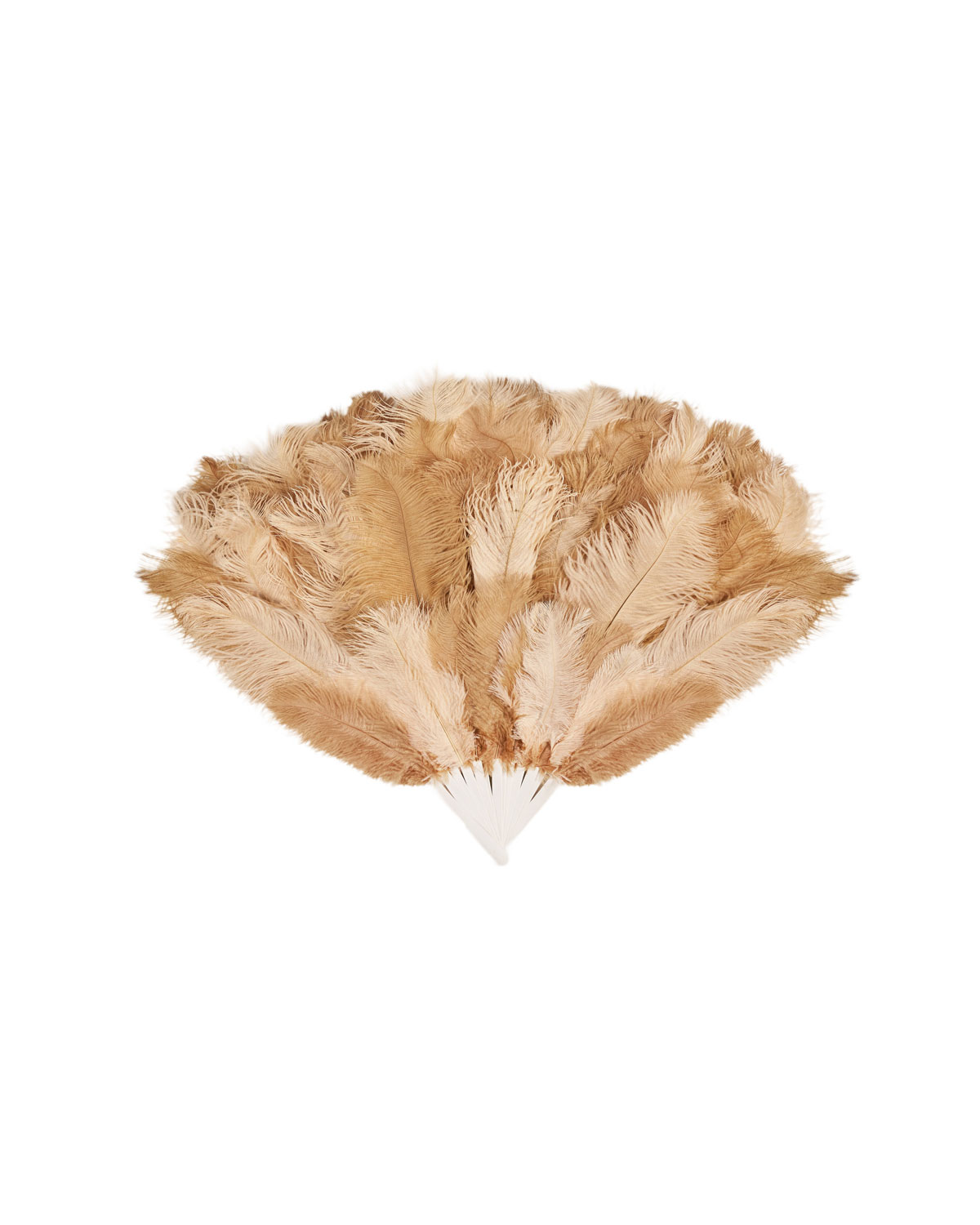 Веер из страусиных перьев