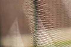 Батут Hasttings Classic Green (3,66 м)