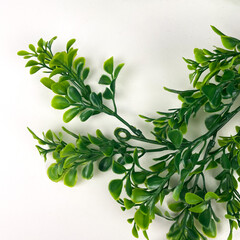 Лиана Брусничника, искусственная зелень, цвет зеленый, около 70 лапок, 180 см., 1 шт.