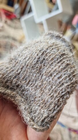 Bolivar - Дориан Грей