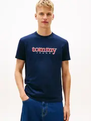 Футболка мужская TOMMY JEANS TJM REG APPLIQ GRAPH