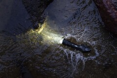 Фонарь Armytek Parma C2IR Pro Белый и инфракрасный свет