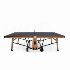 Теннисный стол Rasson T01 Indoor для помещений
