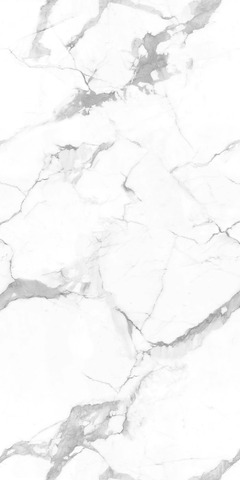 NT Ceramic Marmo Callacata Endless 60x120