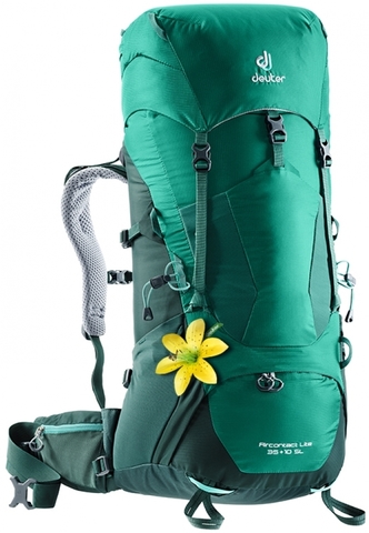 Картинка рюкзак туристический Deuter Aircontact Lite 35+10 SL Alpinegreen-Forest - 1