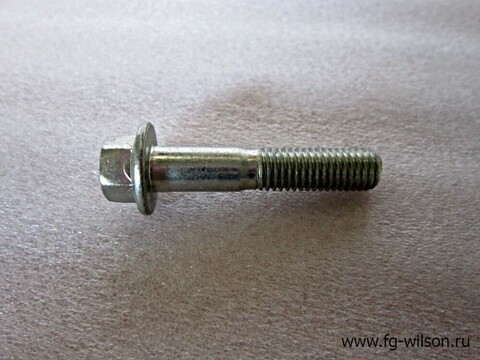 Болт / SCREW АРТ: 987-621