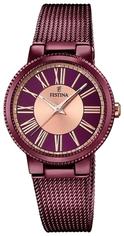 Наручные часы Festina F16966/1 фото