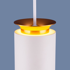 Подвесной светодиодный светильник Elektrostandard DLS021 9+4W 4200K белый матовый/золото