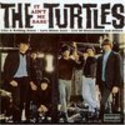 The Turtles - 30 Years Of Rock N Roll