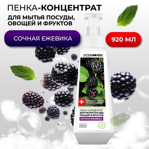 Пенка-концентрат для мытья посуды, овощей и фруктов DzenClean 