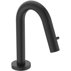 Набортный излив для холодной воды или предварительно смешанной воды Ideal Standard IDEALSTREAM  F2842XG фото