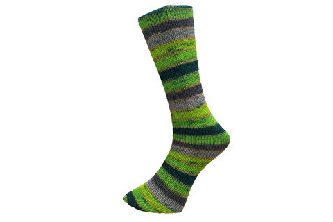Ferner Wolle Mally Socks Clown 05