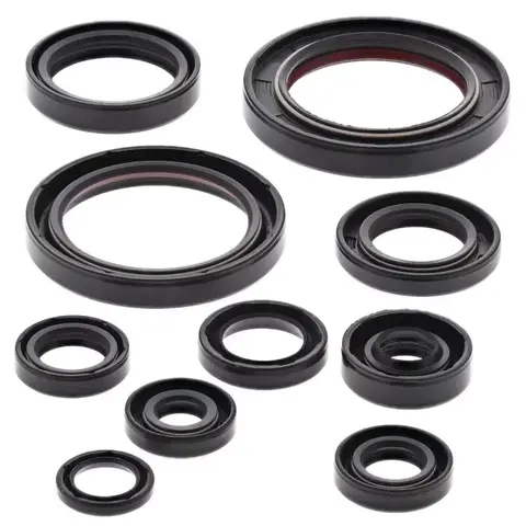 WINDEROSA/VERTEX  822248 Engine Oil Seal Kit (Seal kit)