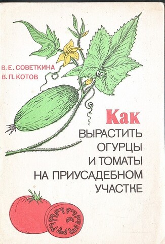 Как вырастить огурцы и томаты на приусадебном участке
