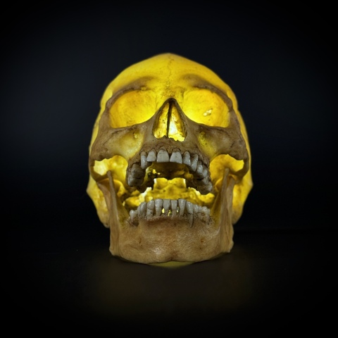 Ночник «Череп человека»