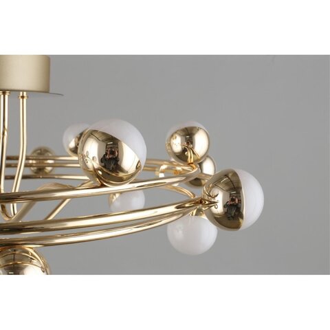 Потолочная светодиодная люстра Aployt Delfin APL.774.07.54