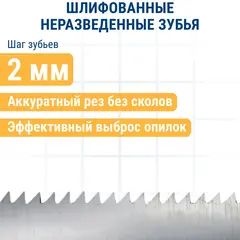 Пилки для лобзика по пластику ПРАКТИКА тип T101A 100 х 75 мм, быстрый рез, HSS (2шт.) (034-410)