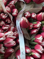 Тюльпаны классика - красно-белый цвет