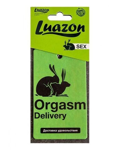 Ароматизатор в авто «Orgasm» с ароматом мужского парфюма - Luazon Luazon 4901330