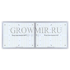 Crazy Green Quantum Pro 270