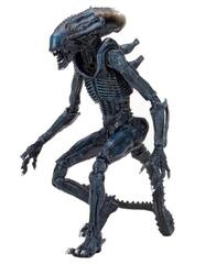 Фигурка NECA Alien vs Predator: Arachnoid Alien