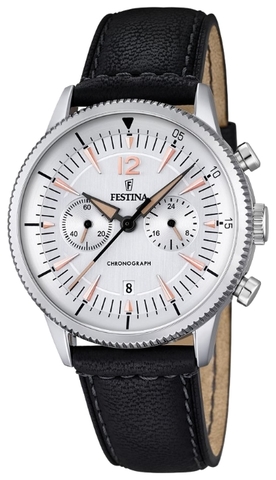 Наручные часы Festina F16870/1 фото