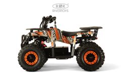 Детский электрический квадроцикл RiverToys MIKA LUX 1000W