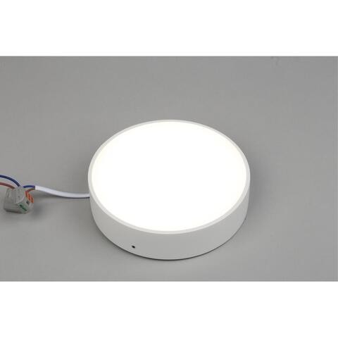 Потолочный светодиодный светильник Aployt Evon APL.0114.09.18