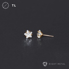 Cubic Zirconia Star Crystal PVD Yellow Б/Р